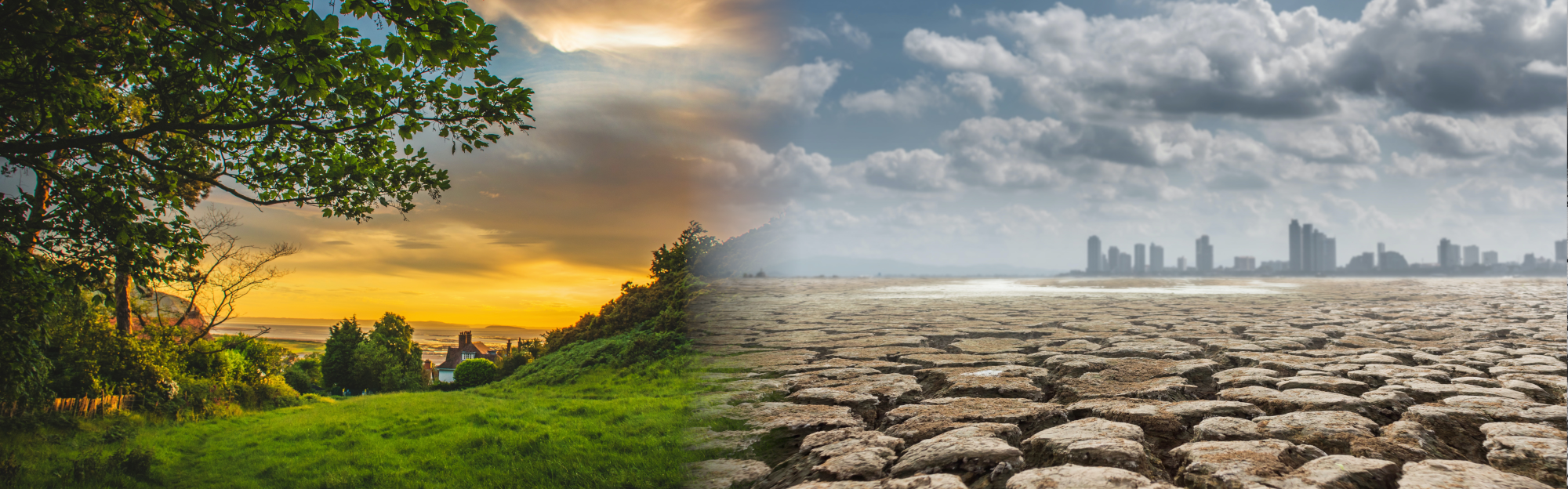 A combined image of a lush landscape pleeding into a devastated lndscape